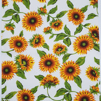 Canovaccio Girasoli