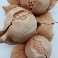 Large Terracotta Pomegranate Branch