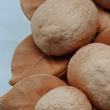 Small Terracotta Lemon Branch