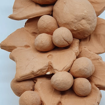 Small Lemon Grape Branch Terracotta
