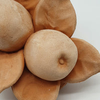 Small Terracotta Apples