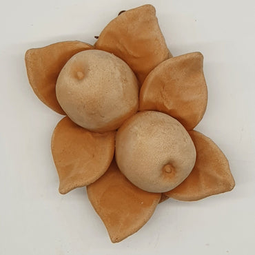 Small Terracotta Apples