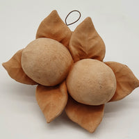 Limoni Piccoli Terracotta