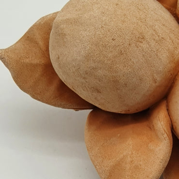 Small Terracotta Lemons
