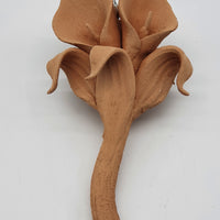 Calla Piccola Terracotta