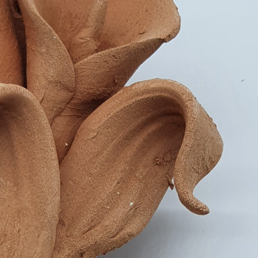 Small Terracotta Calla