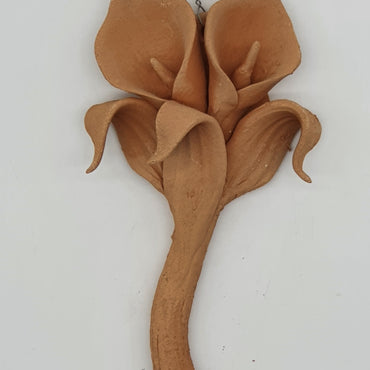 Small Terracotta Calla