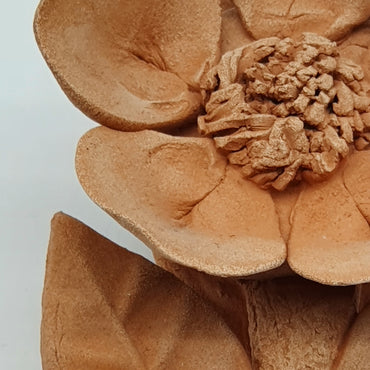 Small Terracotta Poppies