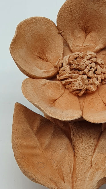 Small Terracotta Poppies
