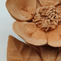 Small Terracotta Poppies