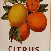 Liquid Soap Alchimia Soap Citrus line "Aromatic" 500ml