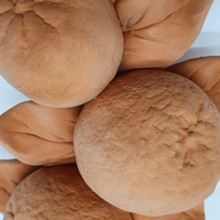 Large Terracotta Orange Branch