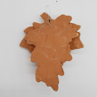 Small grape in terracotta