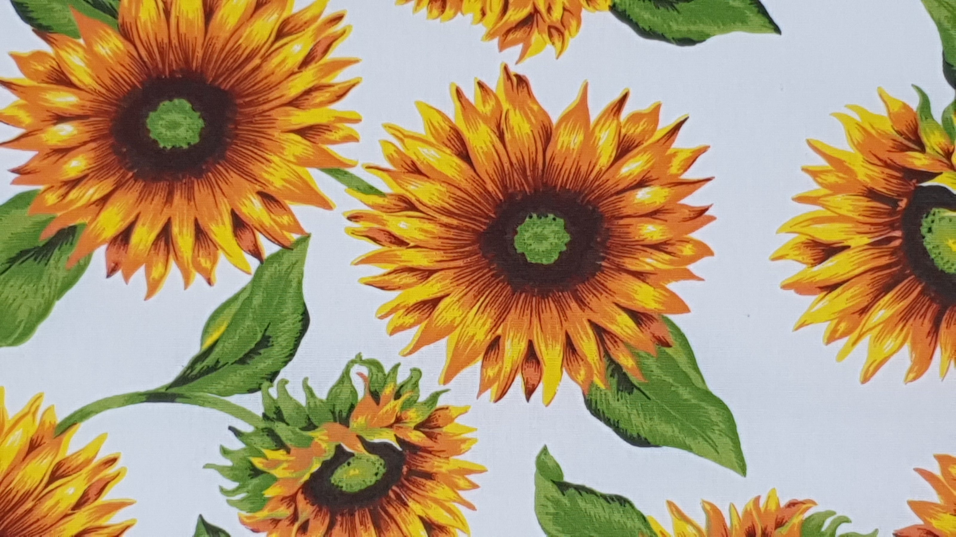 Canovaccio Girasoli