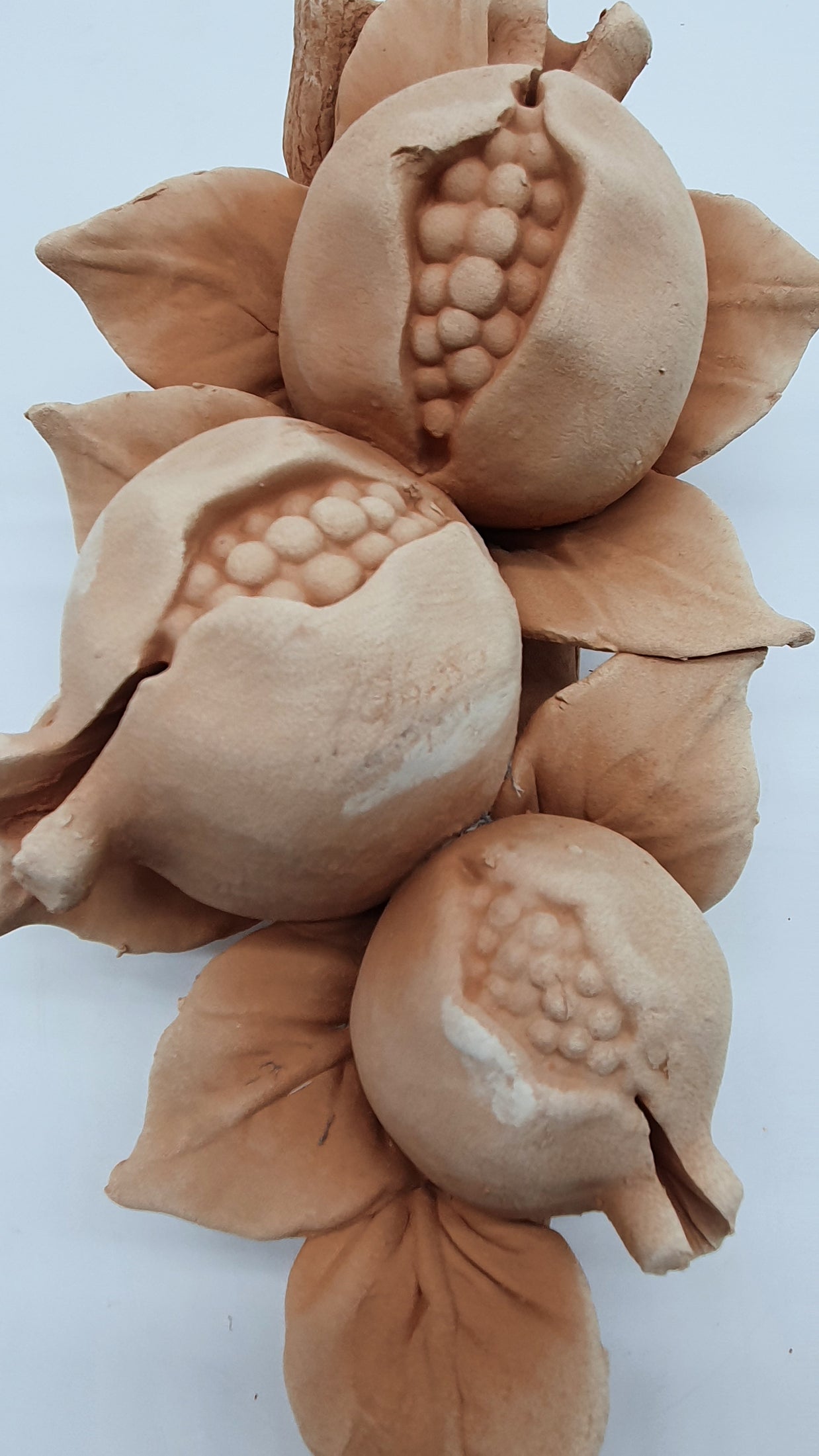 Tralcio Melagrane Grande Terracotta