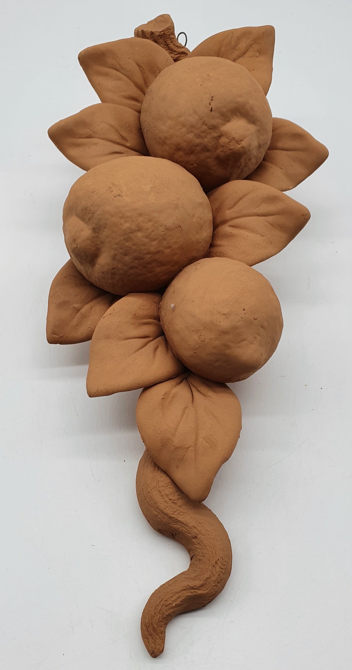 Tralcio Limoni Grande Terracotta