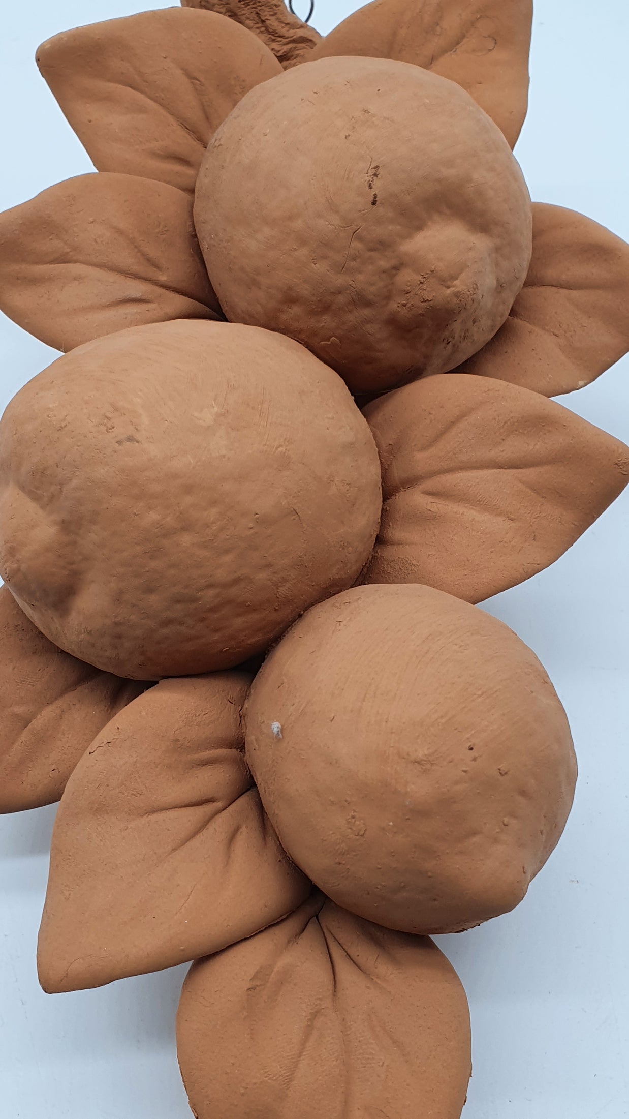 Tralcio Limoni Grande Terracotta