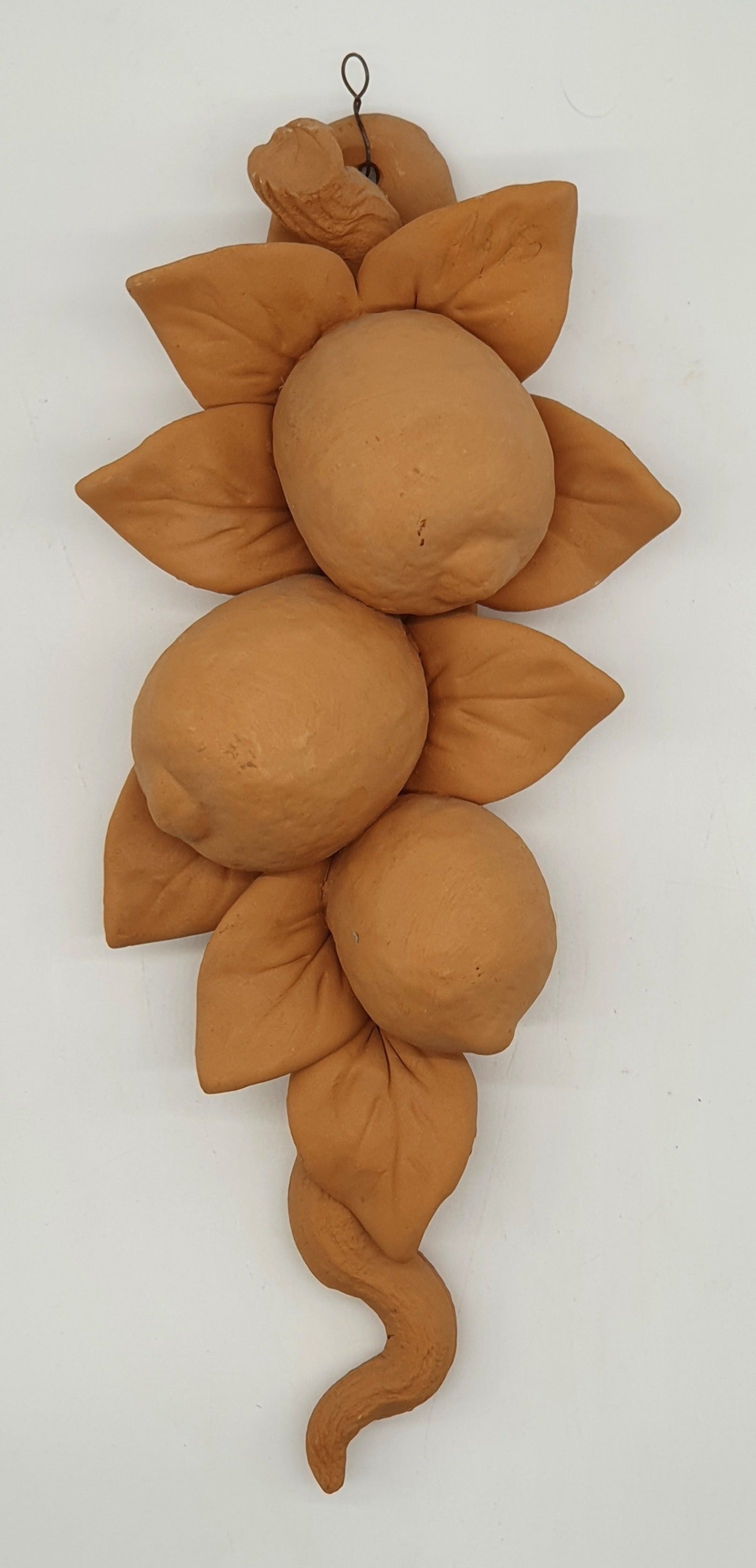 Tralcio Limoni Grande Terracotta