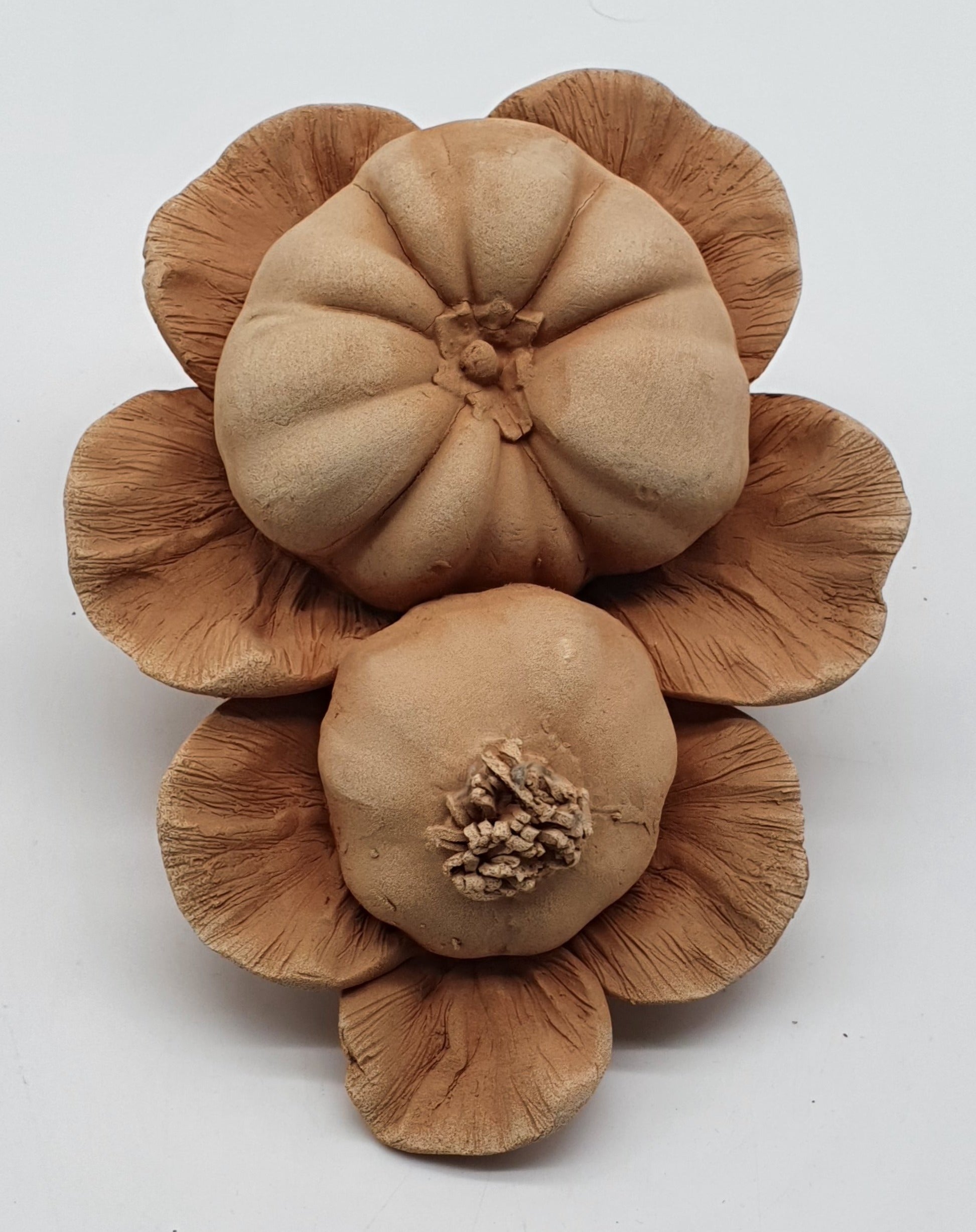 Tralcio Pomodoro Aglio Terracotta