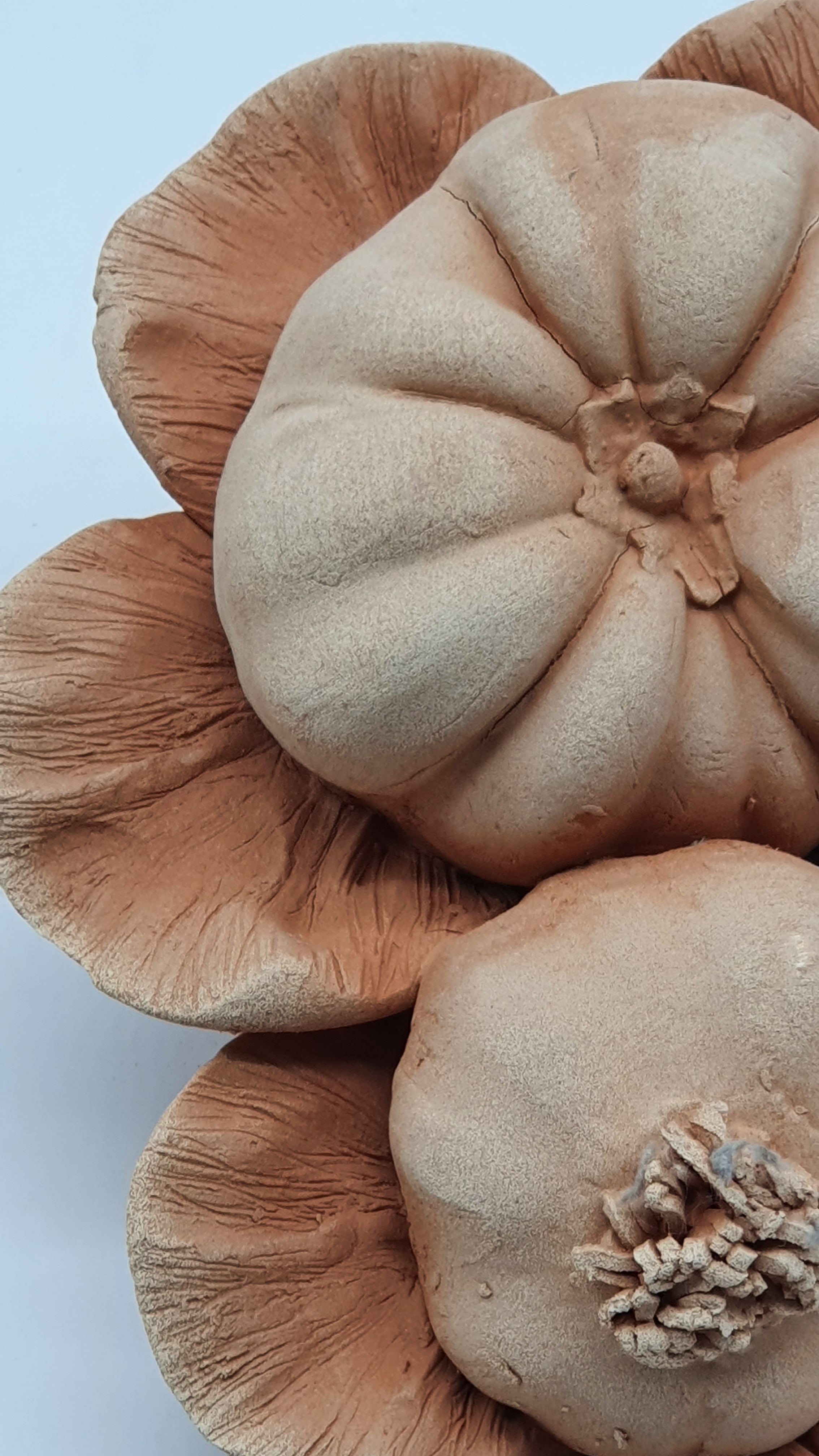 Tralcio Pomodoro Aglio Terracotta