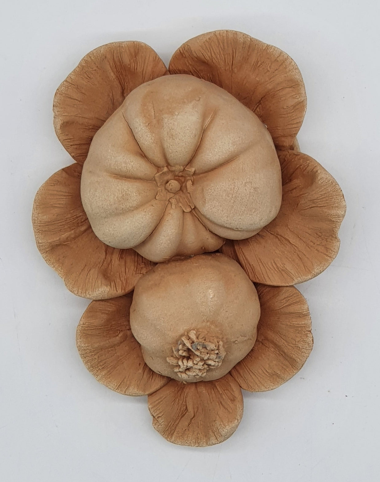 Tralcio Pomodoro Aglio Terracotta