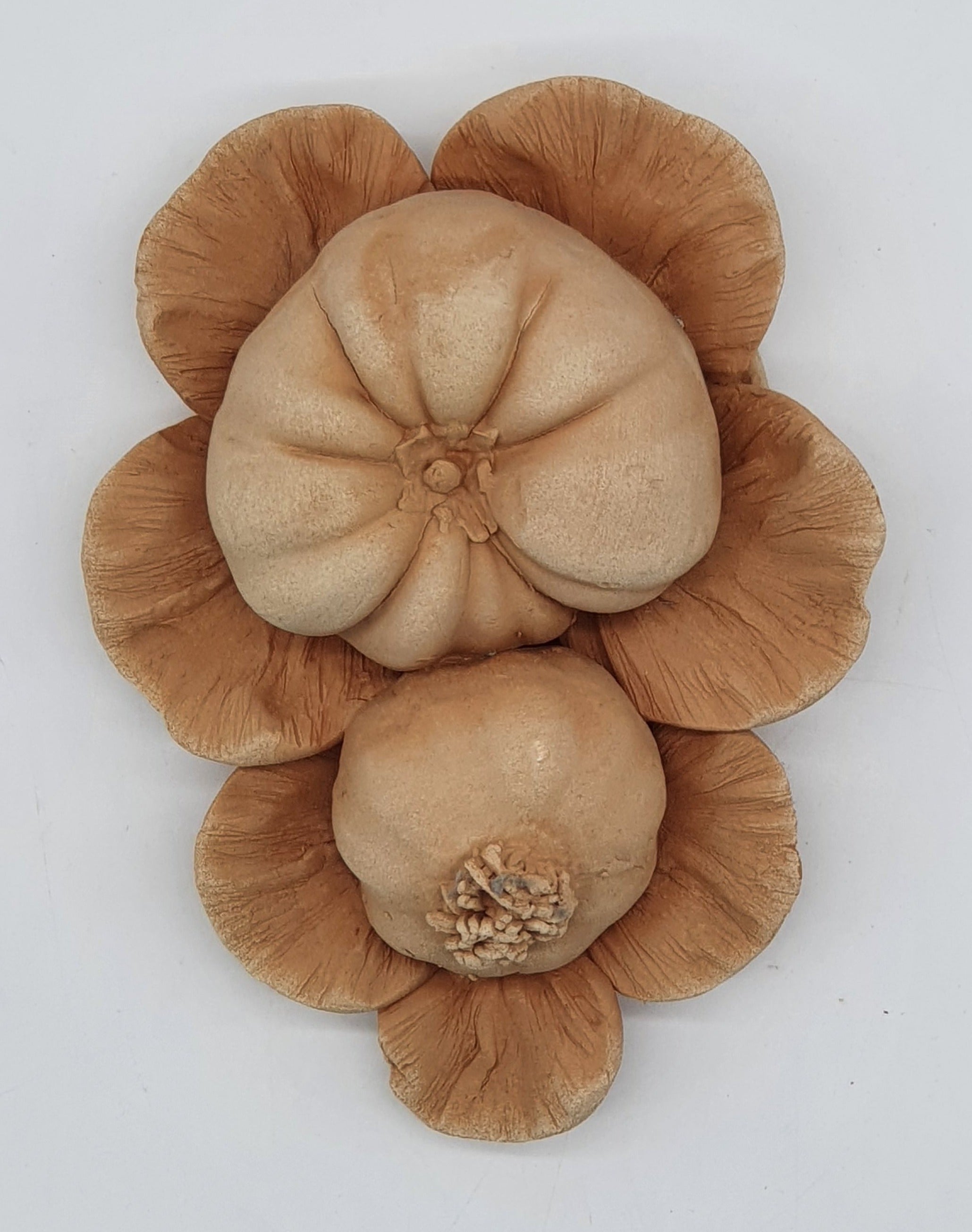 Tralcio Pomodoro Aglio Terracotta