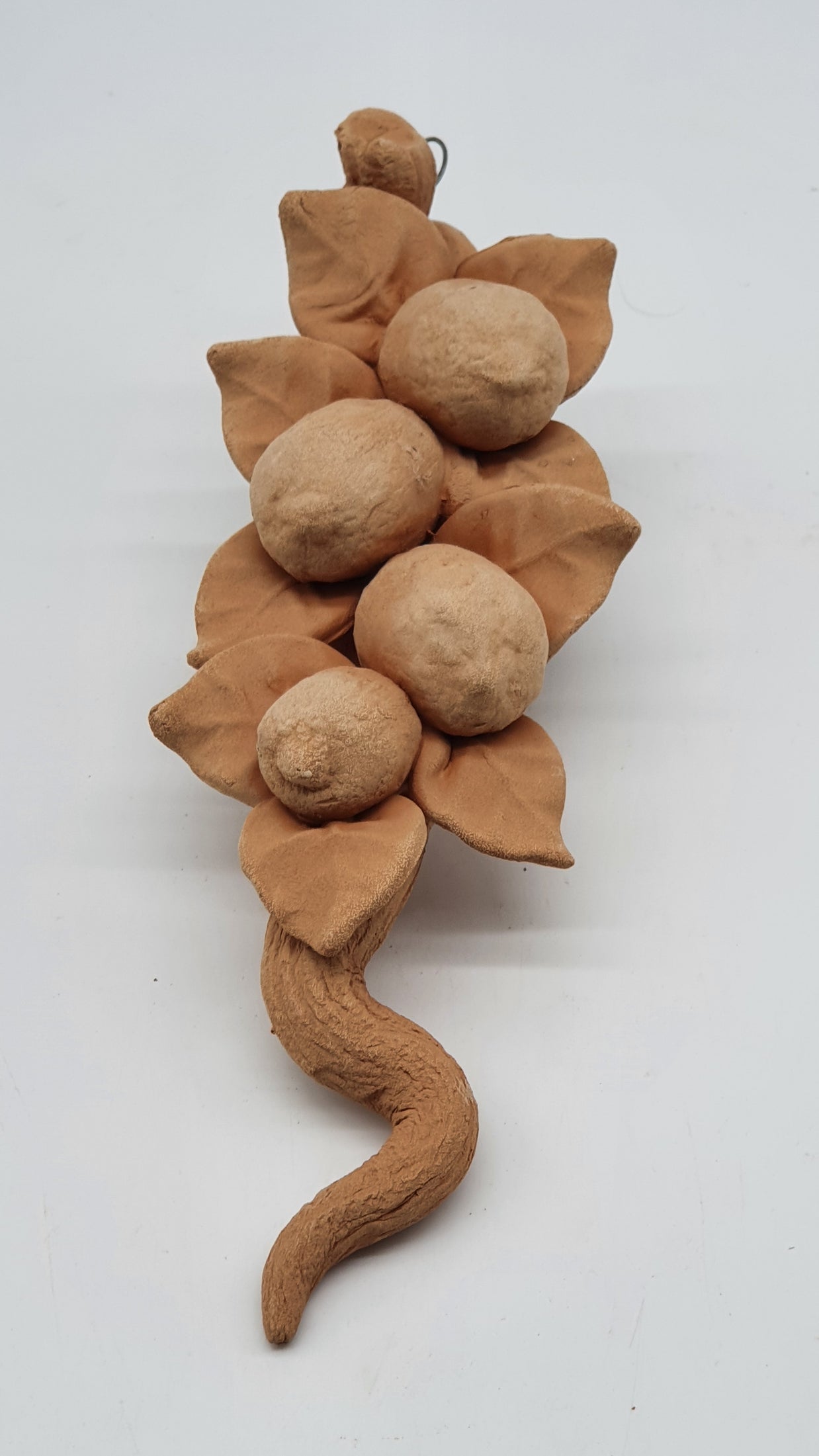 Tralcio Limoni Piccolo Terracotta