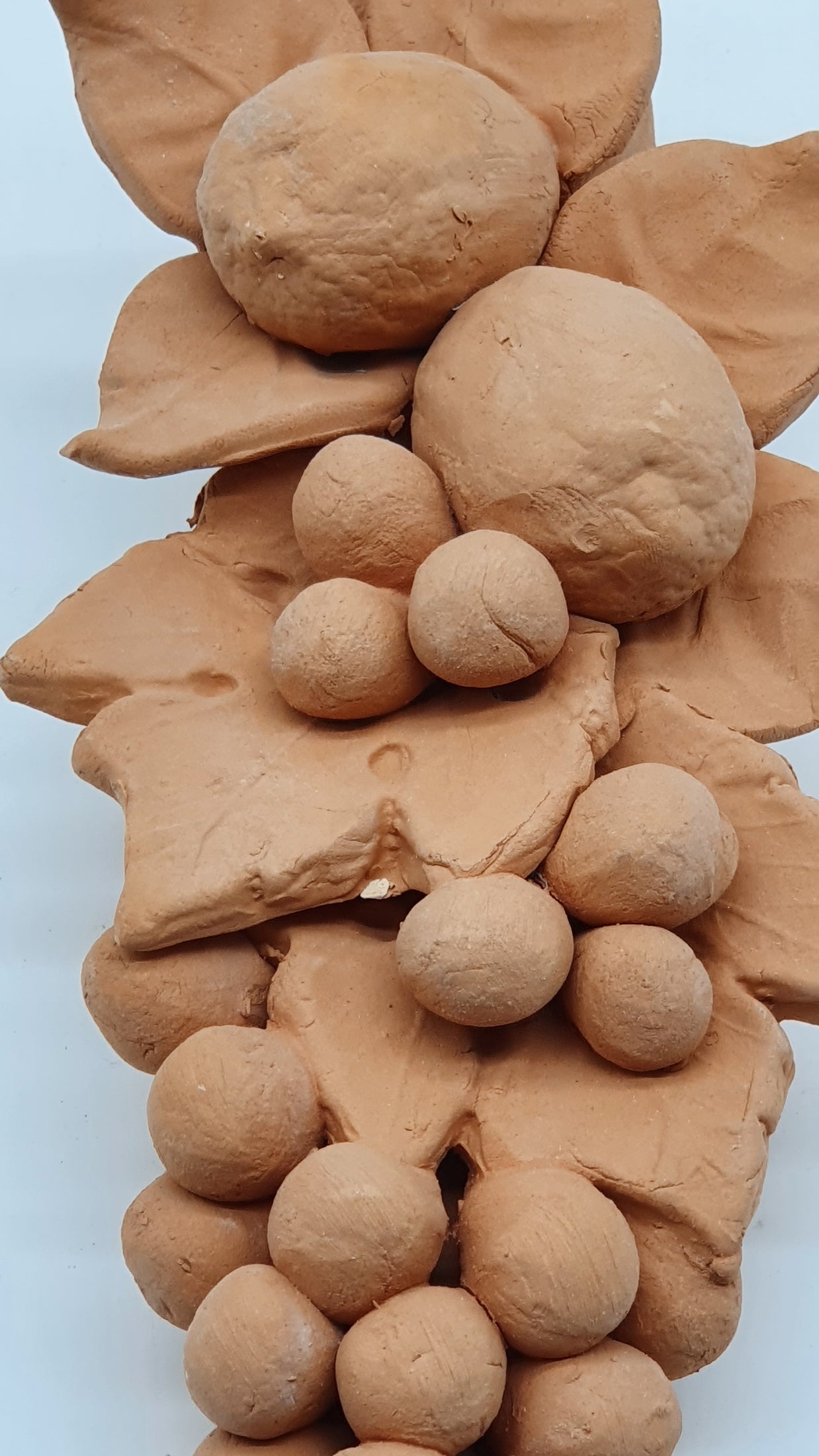 Tralcio Limone Uva Piccolo Terracotta