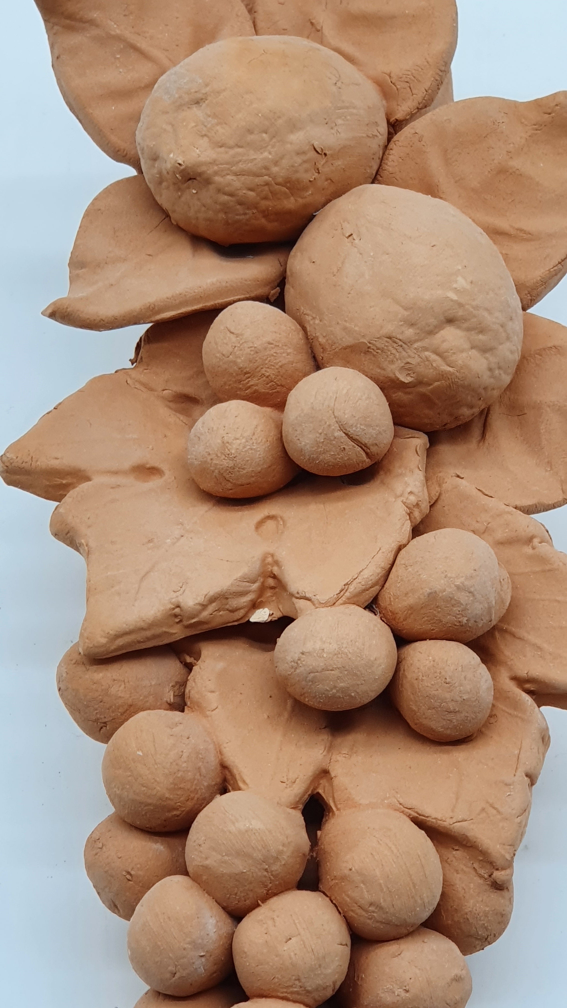Tralcio Limone Uva Piccolo Terracotta
