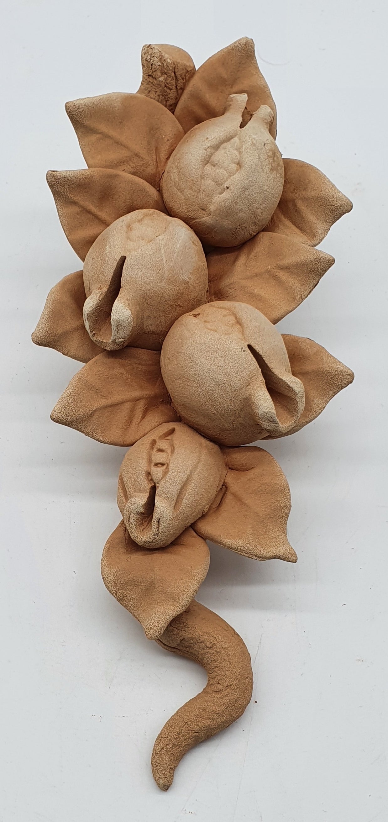 Tralcio Melagrane Piccolo Terracotta