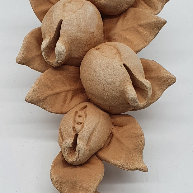 Tralcio Melagrane Piccolo Terracotta
