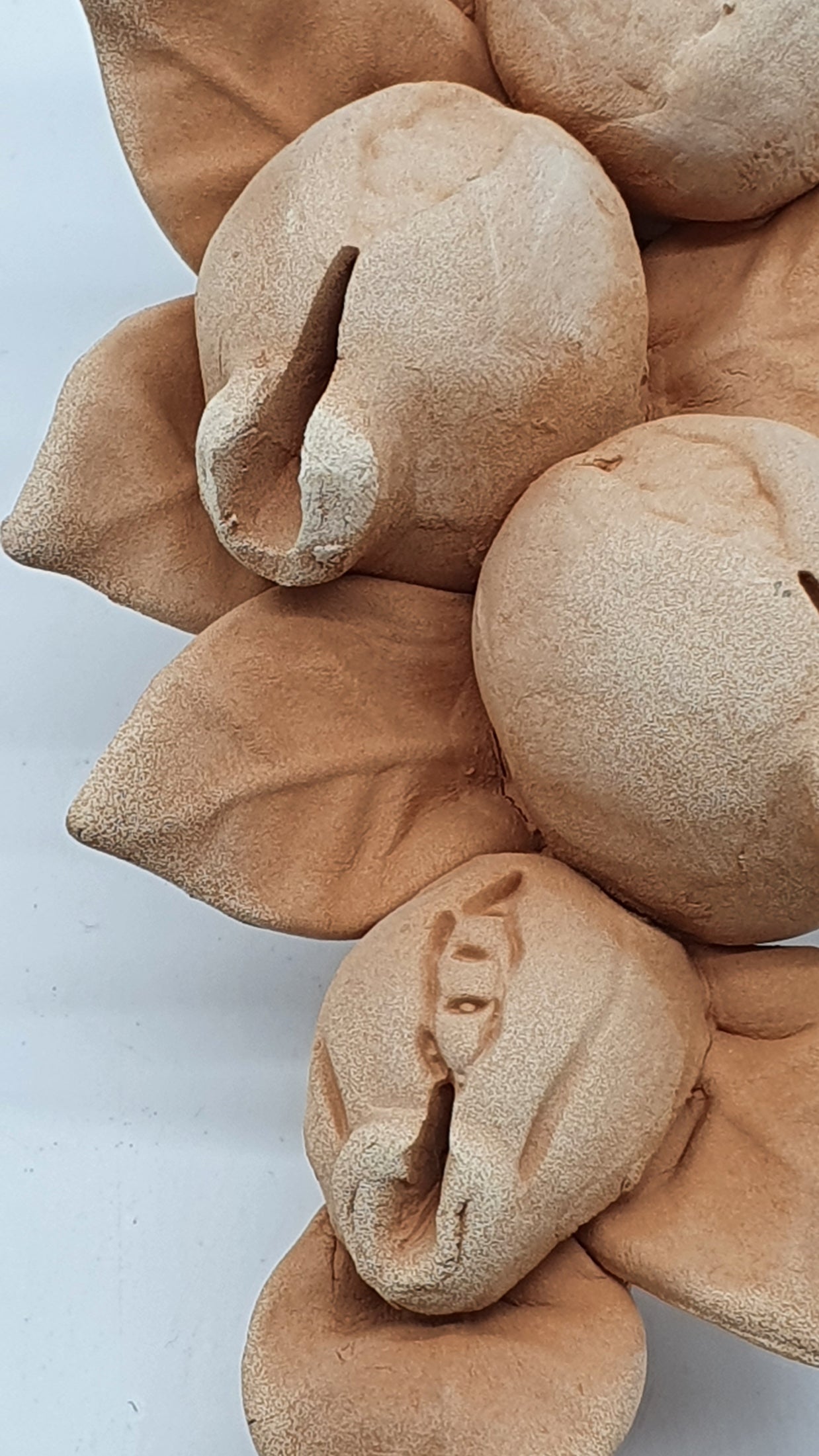 Tralcio Melagrane Piccolo Terracotta