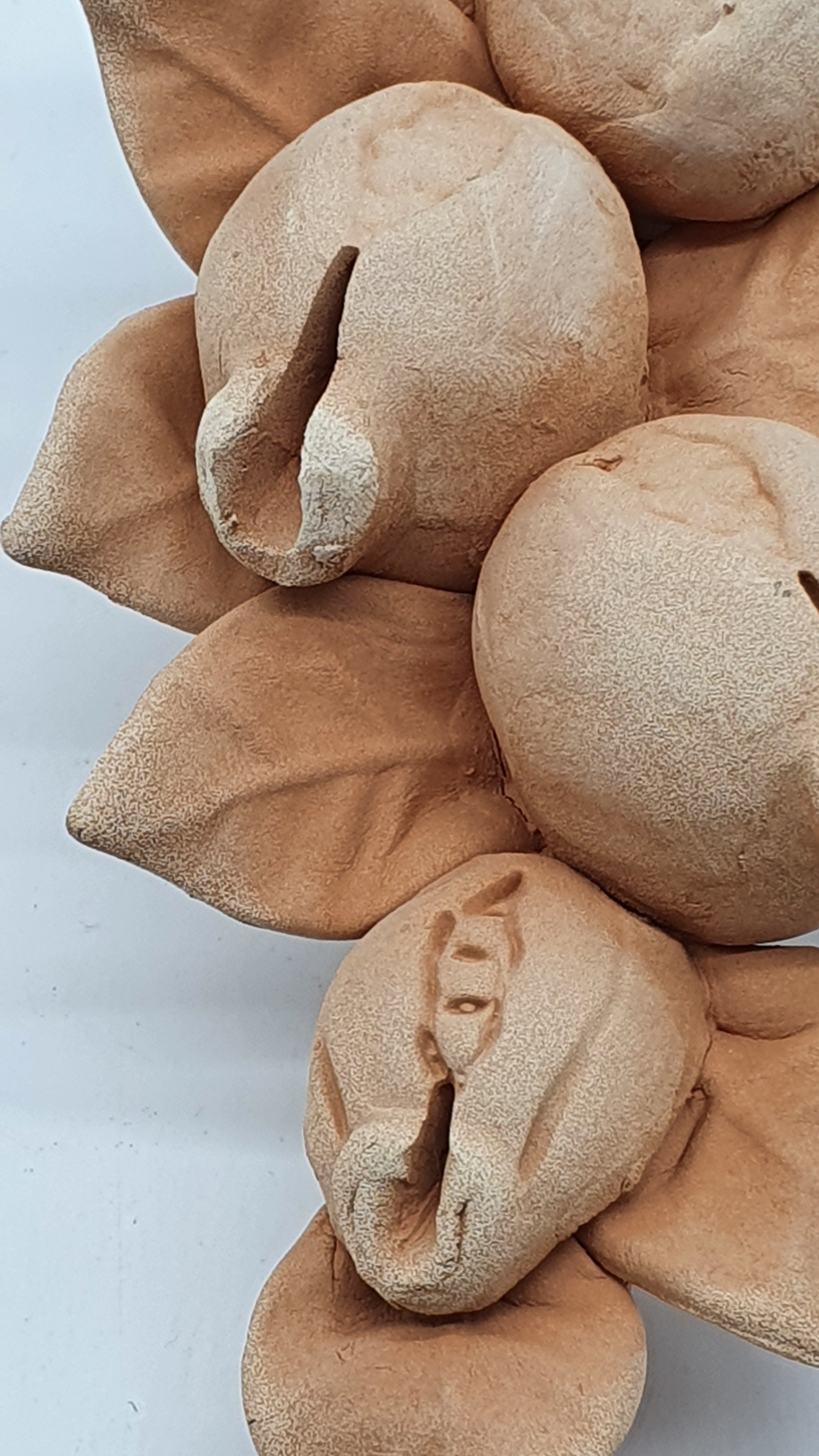 Tralcio Melagrane Piccolo Terracotta