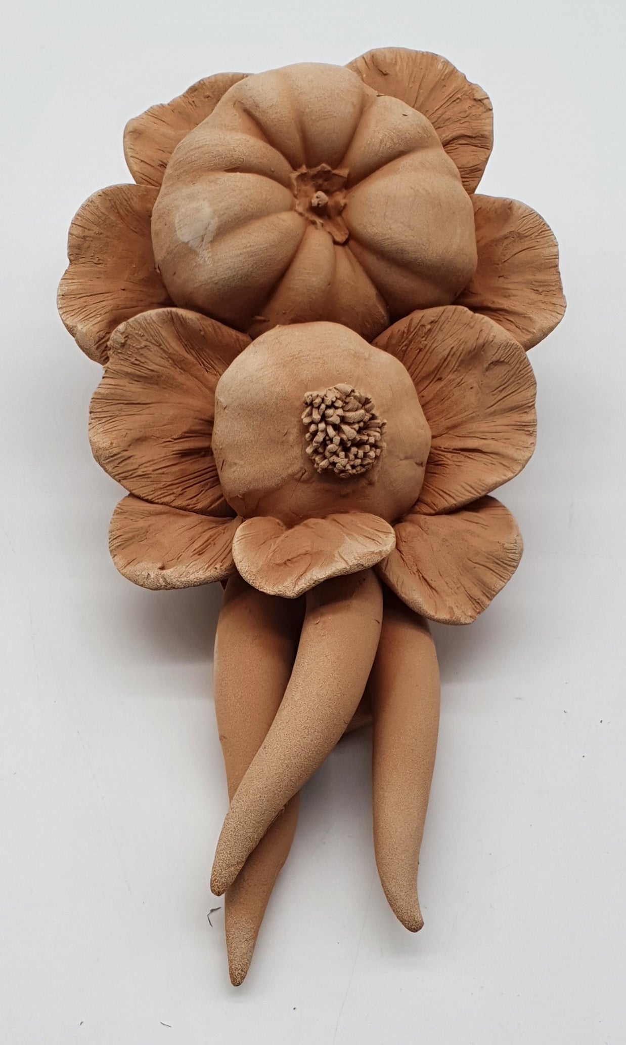 Tralcio Pomodoro Aglio Peperoncino Terracotta