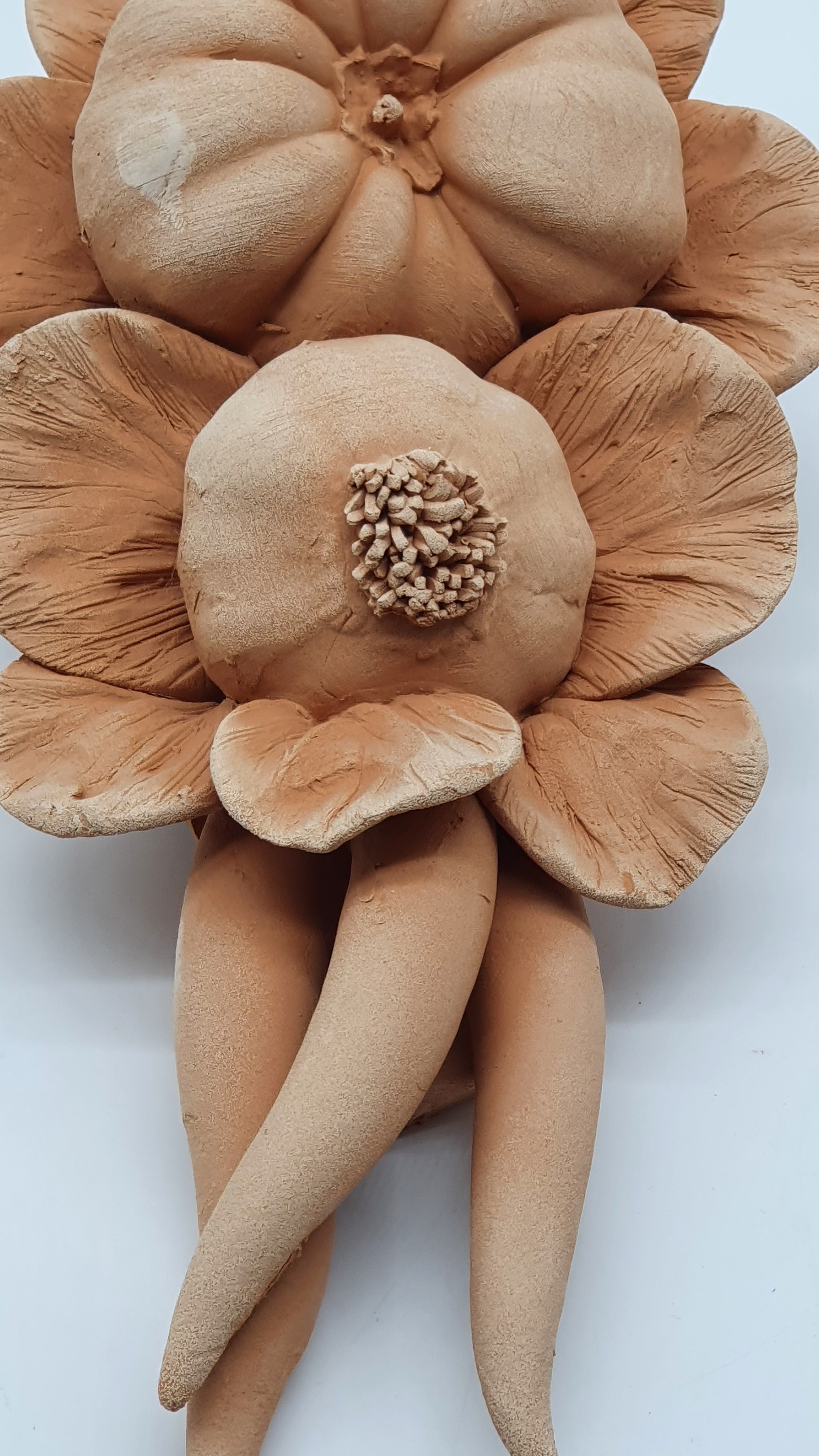 Tralcio Pomodoro Aglio Peperoncino Terracotta