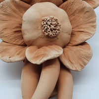 Tralcio Pomodoro Aglio Peperoncino Terracotta