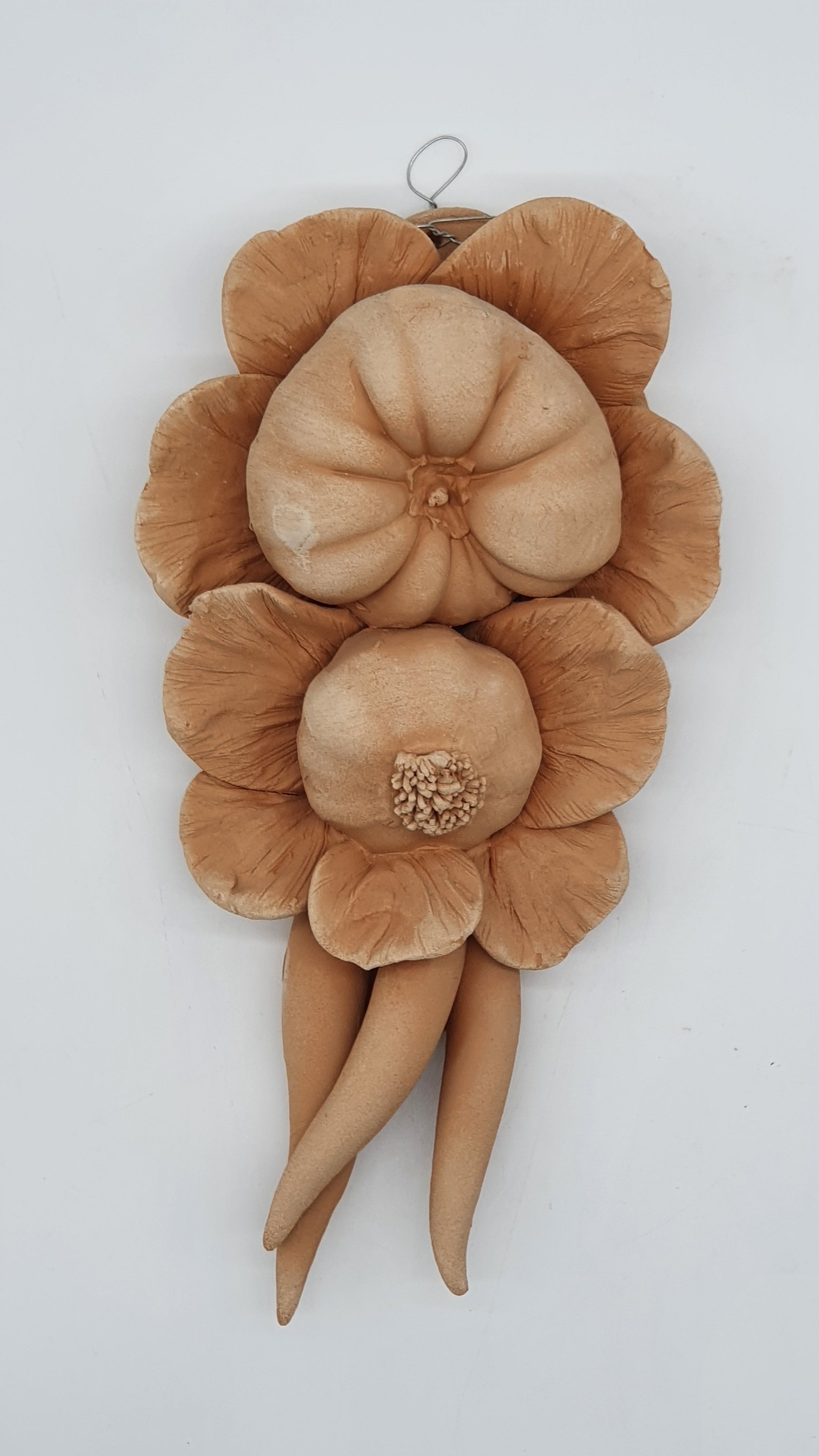 Tralcio Pomodoro Aglio Peperoncino Terracotta