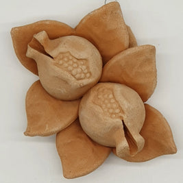 Melagrane Piccole Terracotta