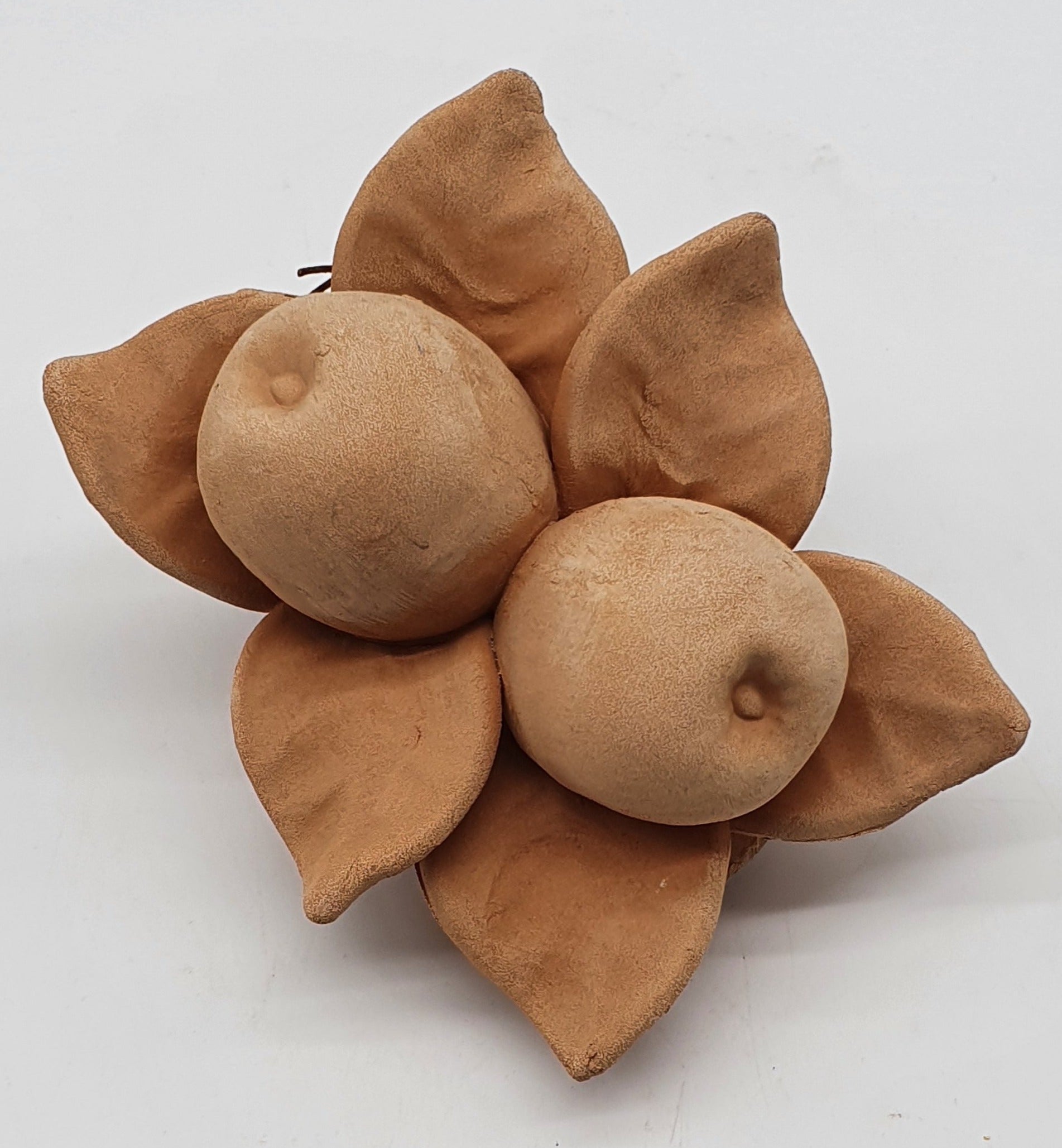 Mele Piccole Terracotta