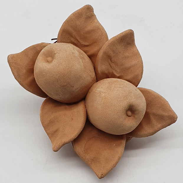 Mele Piccole Terracotta