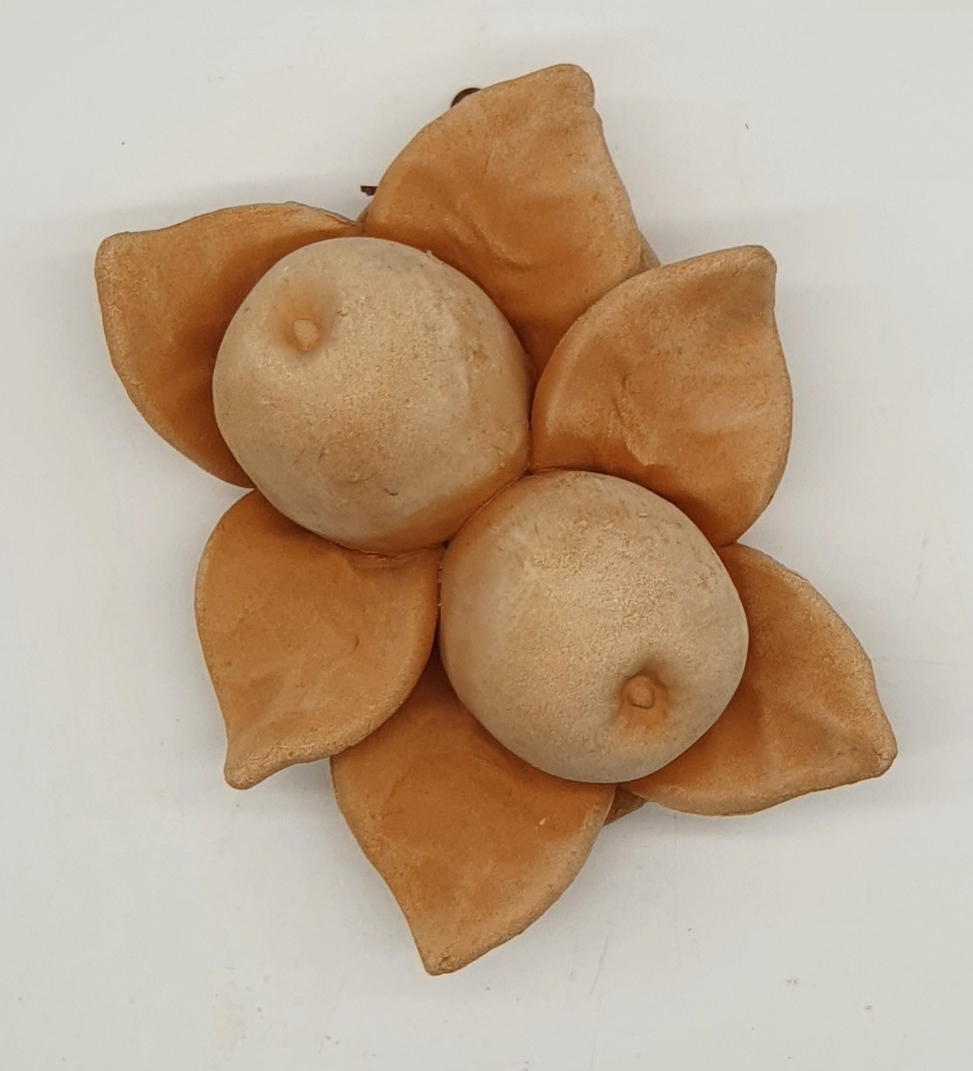 Small Terracotta Apples