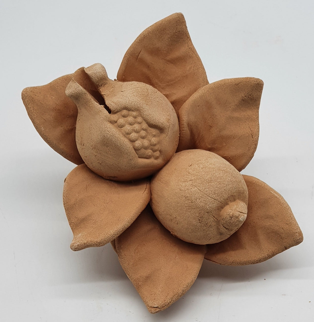 Melagrana E Limone Piccoli Terracotta