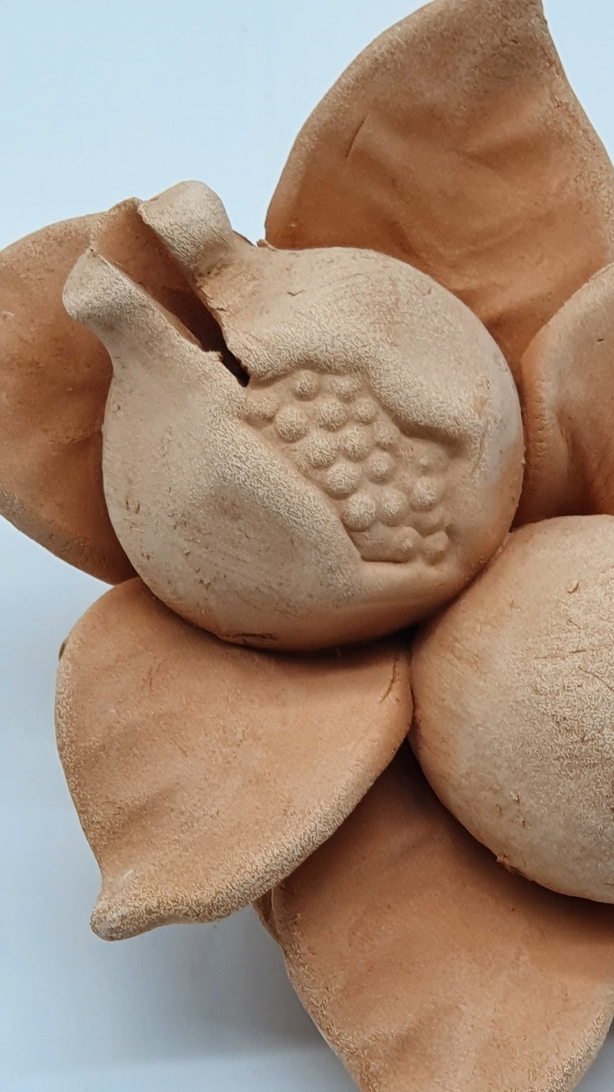 Melagrana E Limone Piccoli Terracotta