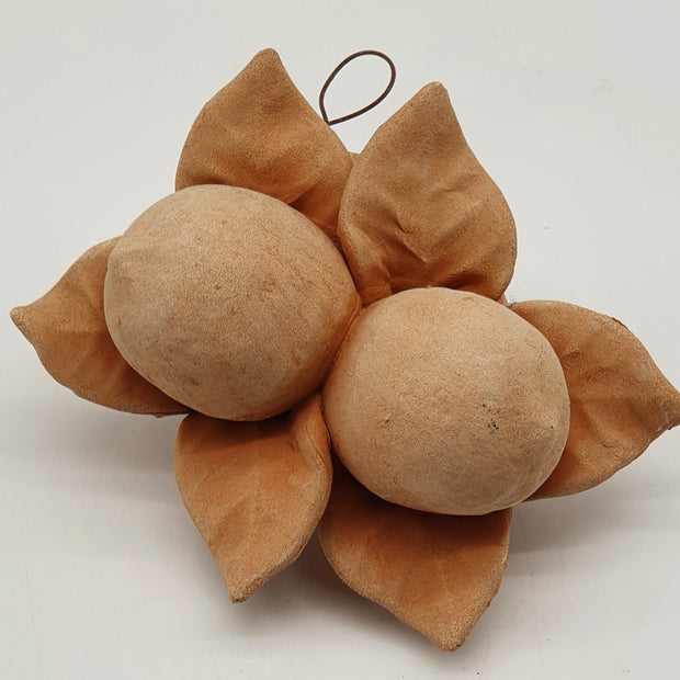 Limoni Piccoli Terracotta