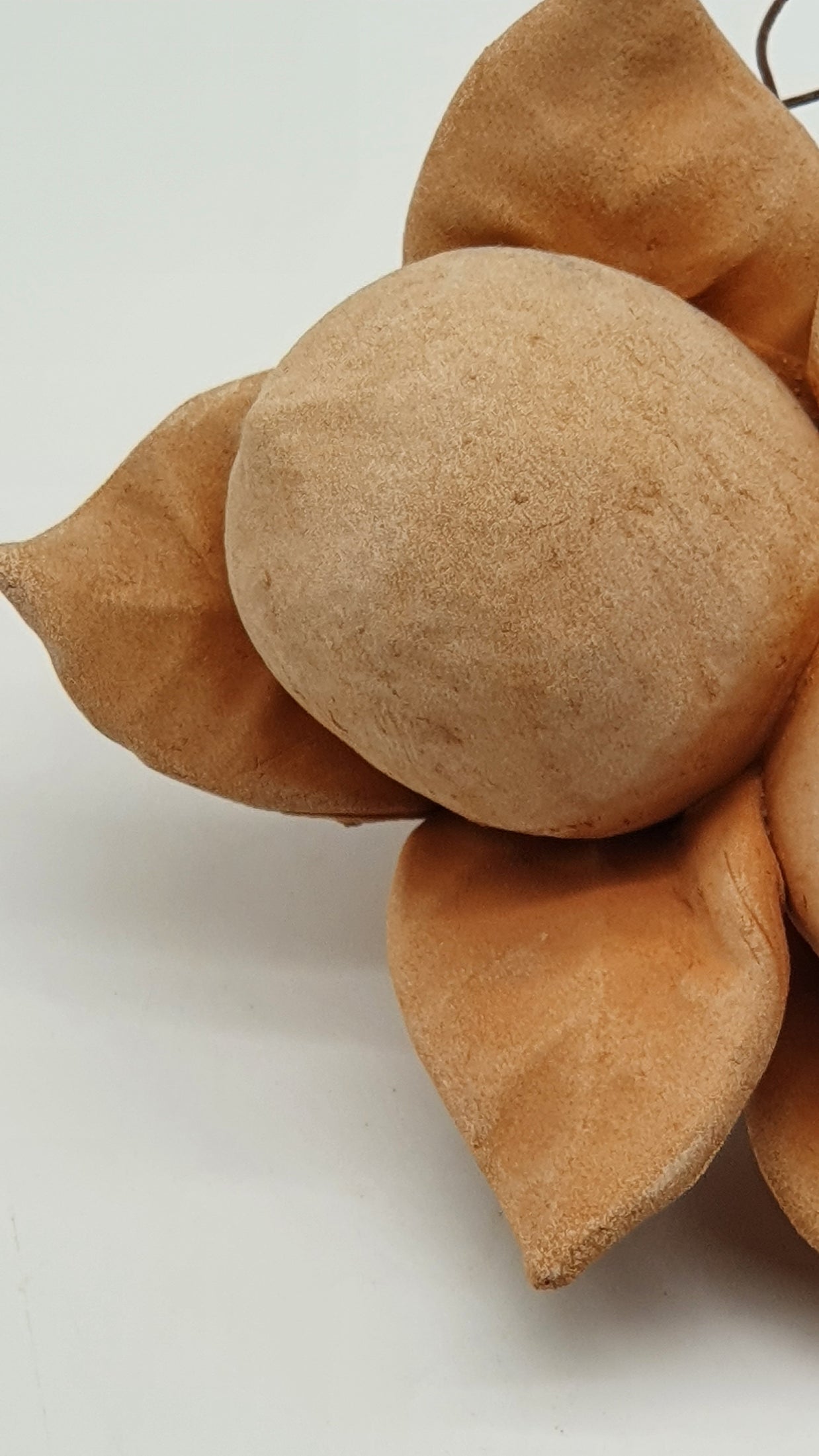 Limoni Piccoli Terracotta
