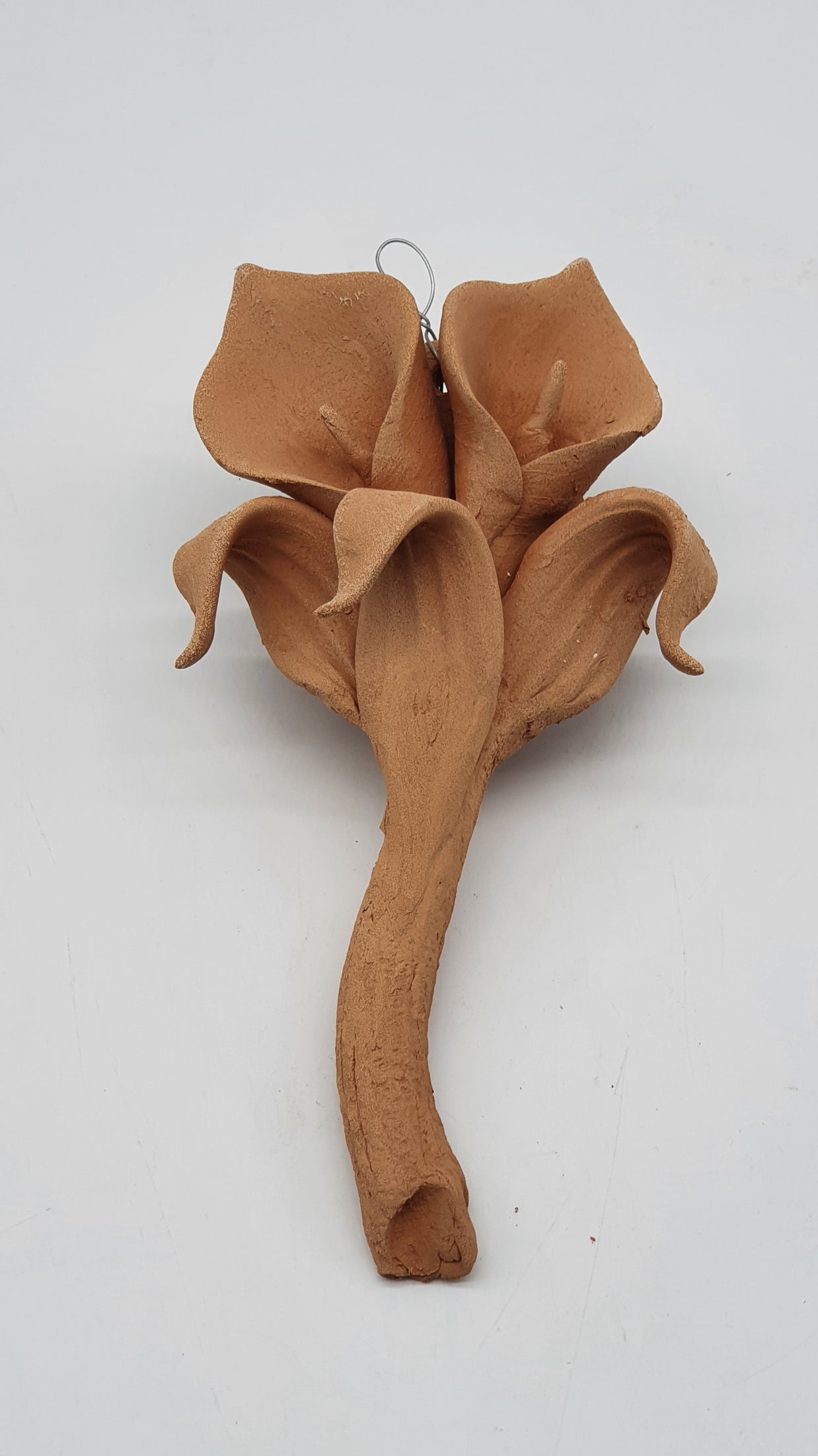 Calla Piccola Terracotta