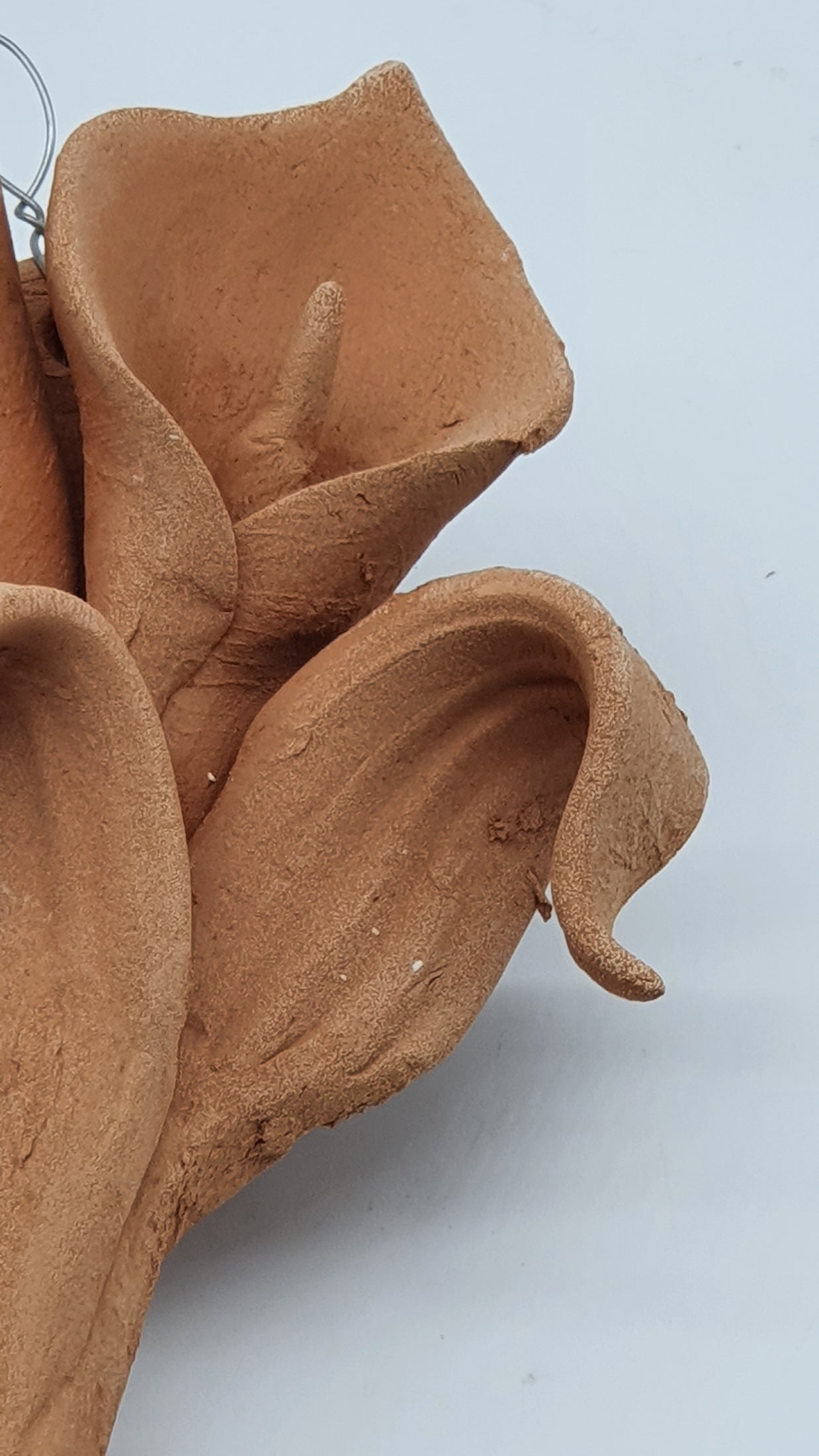 Calla Piccola Terracotta