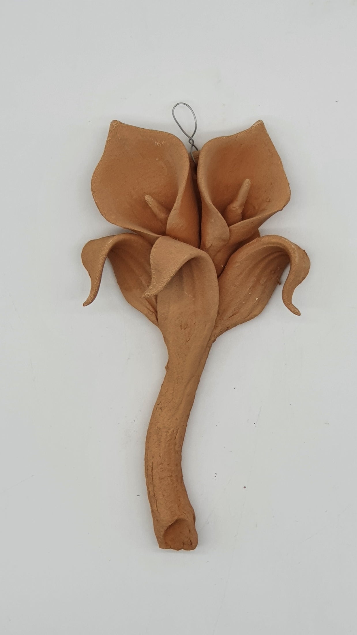 Calla Piccola Terracotta