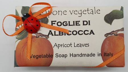 Vegetable Soap Apricot Leaves