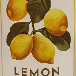 Sapone Liquido Alchimia Soap Limone 500ml